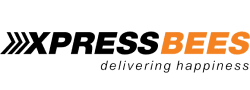 pacewisdom-logo